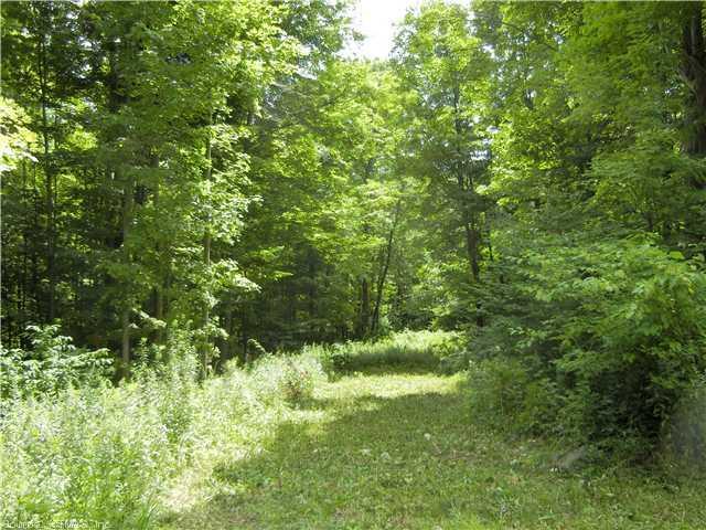 10 Burr Hall Road Middlebury, CT 06762 - Photo 1 of 1 a view of a lush green forest