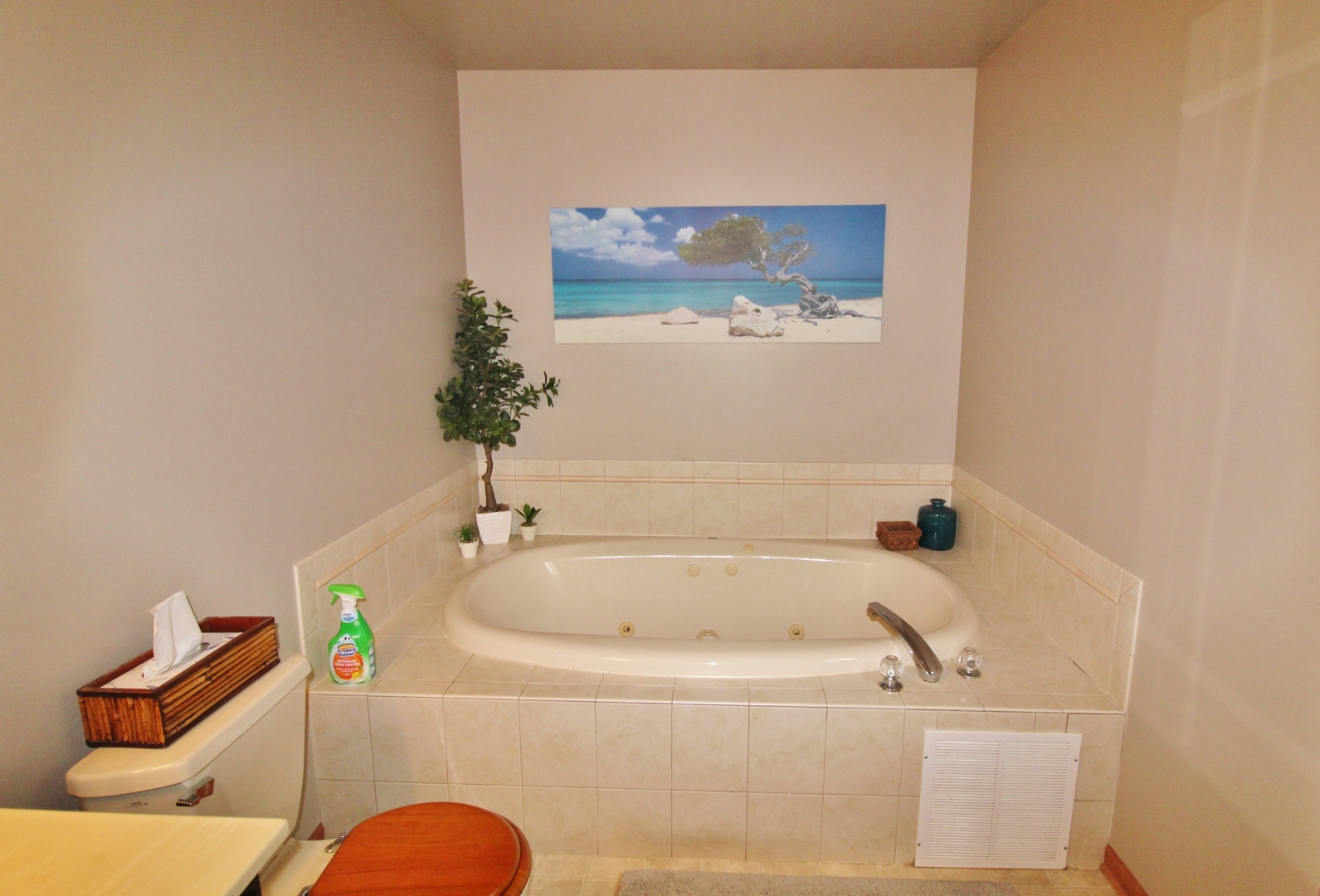 1445 Scott Circle Morris, IL 60450 - Photo 17 of 31 a bathroom with a tub