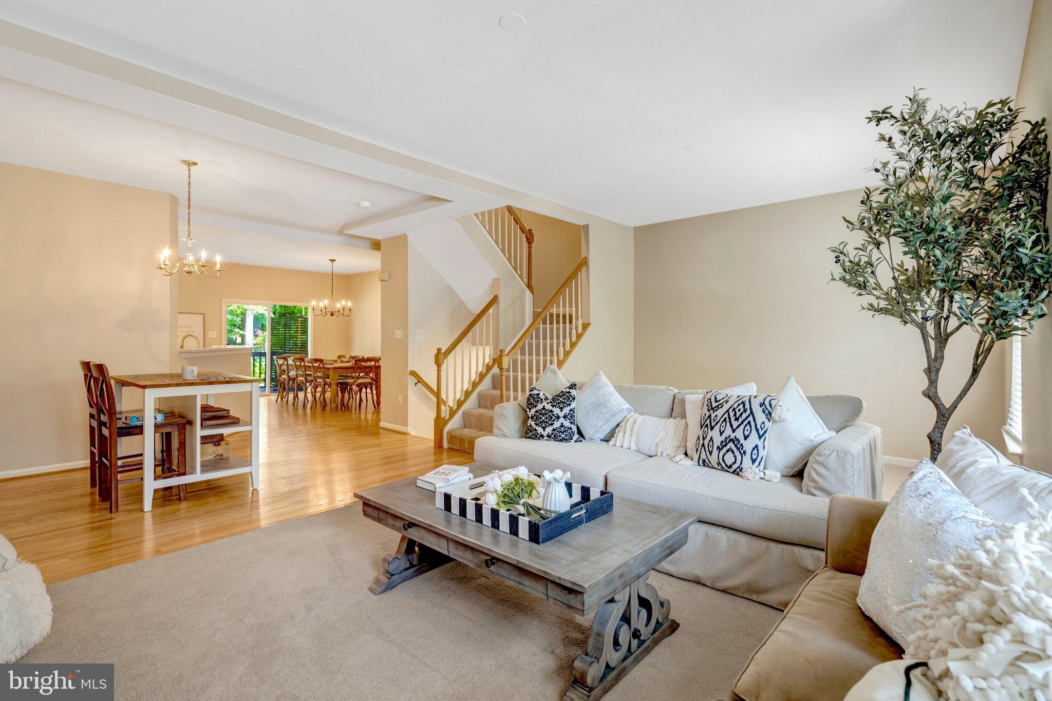 7706 Shadowcreek Terrace Springfield, VA 22153 - Photo 1 of 30 a living room with furniture and a potted plant