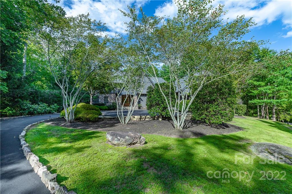 146 Allison Creek Trail Brevard, NC 28712 - Photo 40 of 48 a view of a backyard with table and chairs plants and large trees