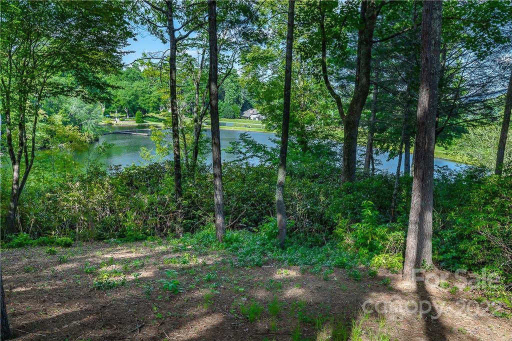 146 Allison Creek Trail Brevard, NC 28712 - Photo 46 of 48 a view of a forest with trees