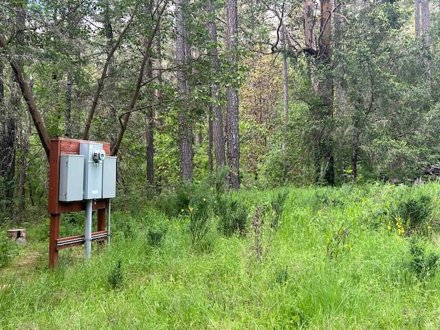 4196 East Evans Creek Road Rogue River, OR 97537 - Photo 4 of 36 a backyard of a house with table and chairs