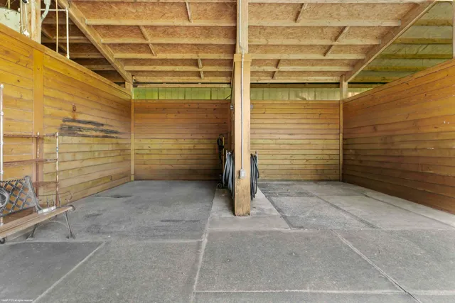 a view of a palm plant that is in front of a house