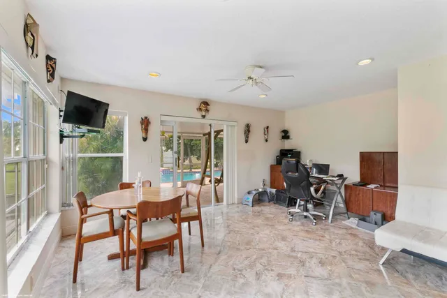 a close up of a plant in a garden