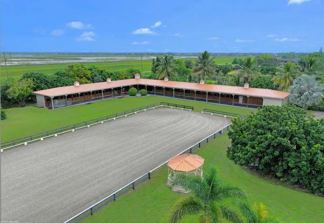 a view of a garden with plants