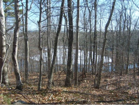 148 Piper Mtn Road Middleton, NH 03887 - Photo 1 of 1
