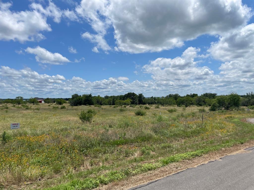 Lot 39 Crestview Corsicana, TX 75109 - Photo 8 of 22 a view of lake with green space