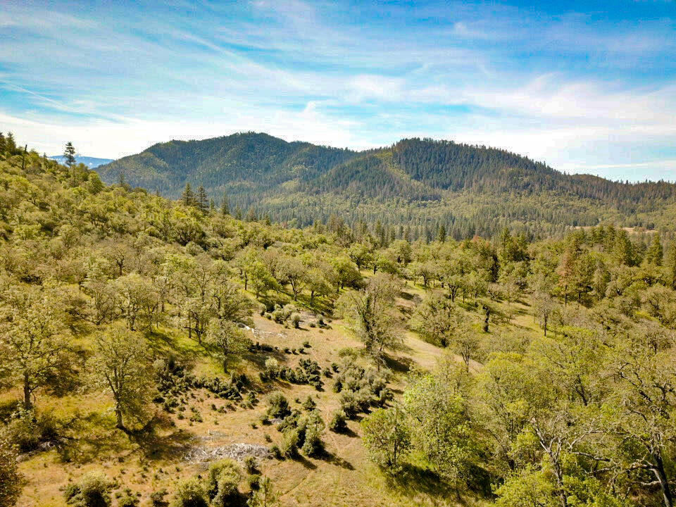 501 Little Applegate Road Jacksonville, OR 97530 - Photo 34 of 38 IMG_5305