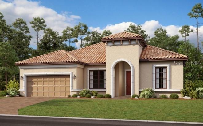 Letizia A Rendering!