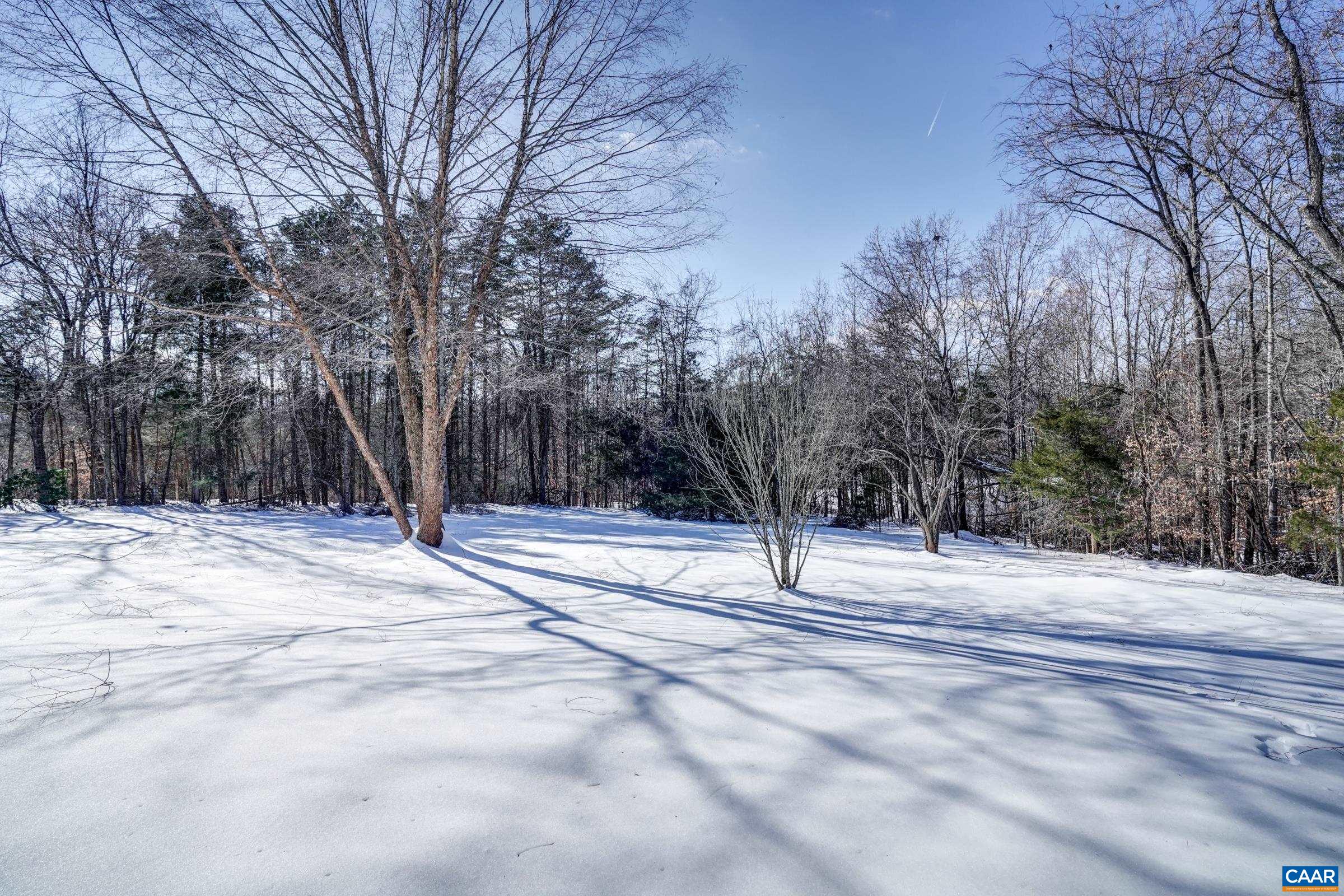 1008 Highlands Drive Charlottesville, VA 22901 - Photo 35 of 41 a house with trees in the background