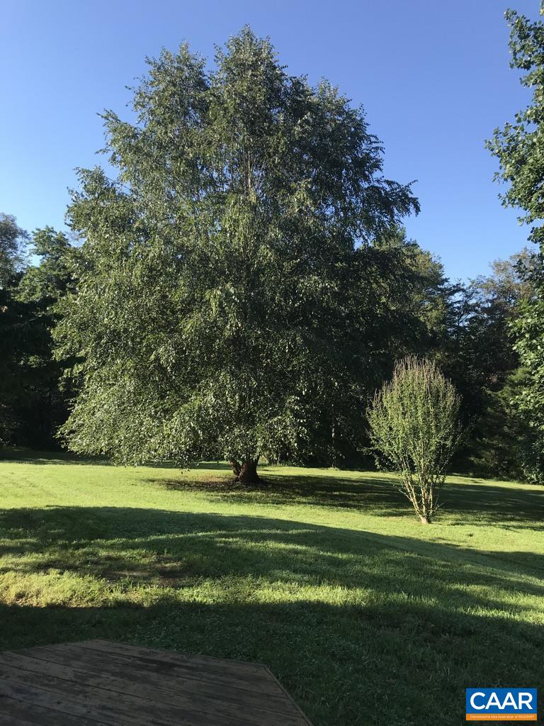 1008 Highlands Drive Charlottesville, VA 22901 - Photo 41 of 41 a view of a big yard with a large trees
