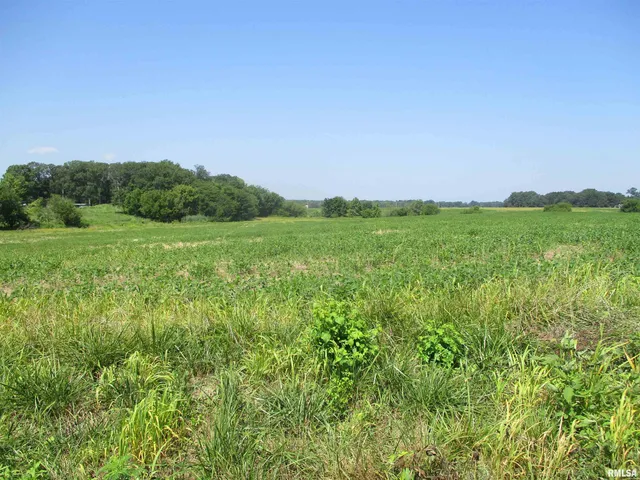 $500,000 | 0 Bean Road, Whittington, IL 62897