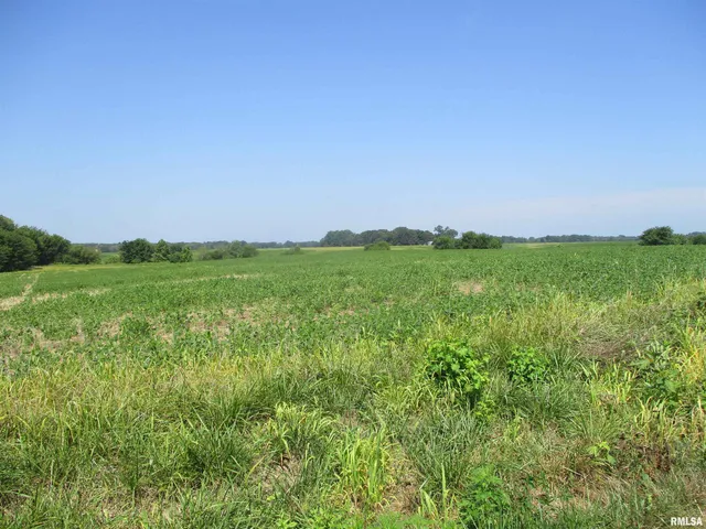 $500,000 | 0 Bean Road, Whittington, IL 62897