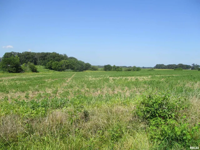 $500,000 | 0 Bean Road, Whittington, IL 62897