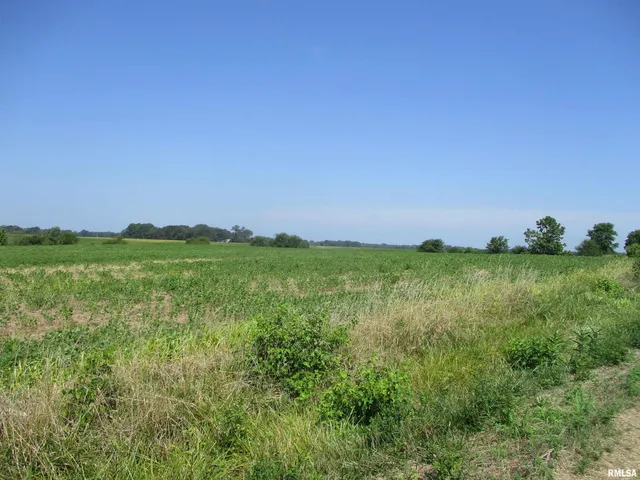 $500,000 | 0 Bean Road, Whittington, IL 62897