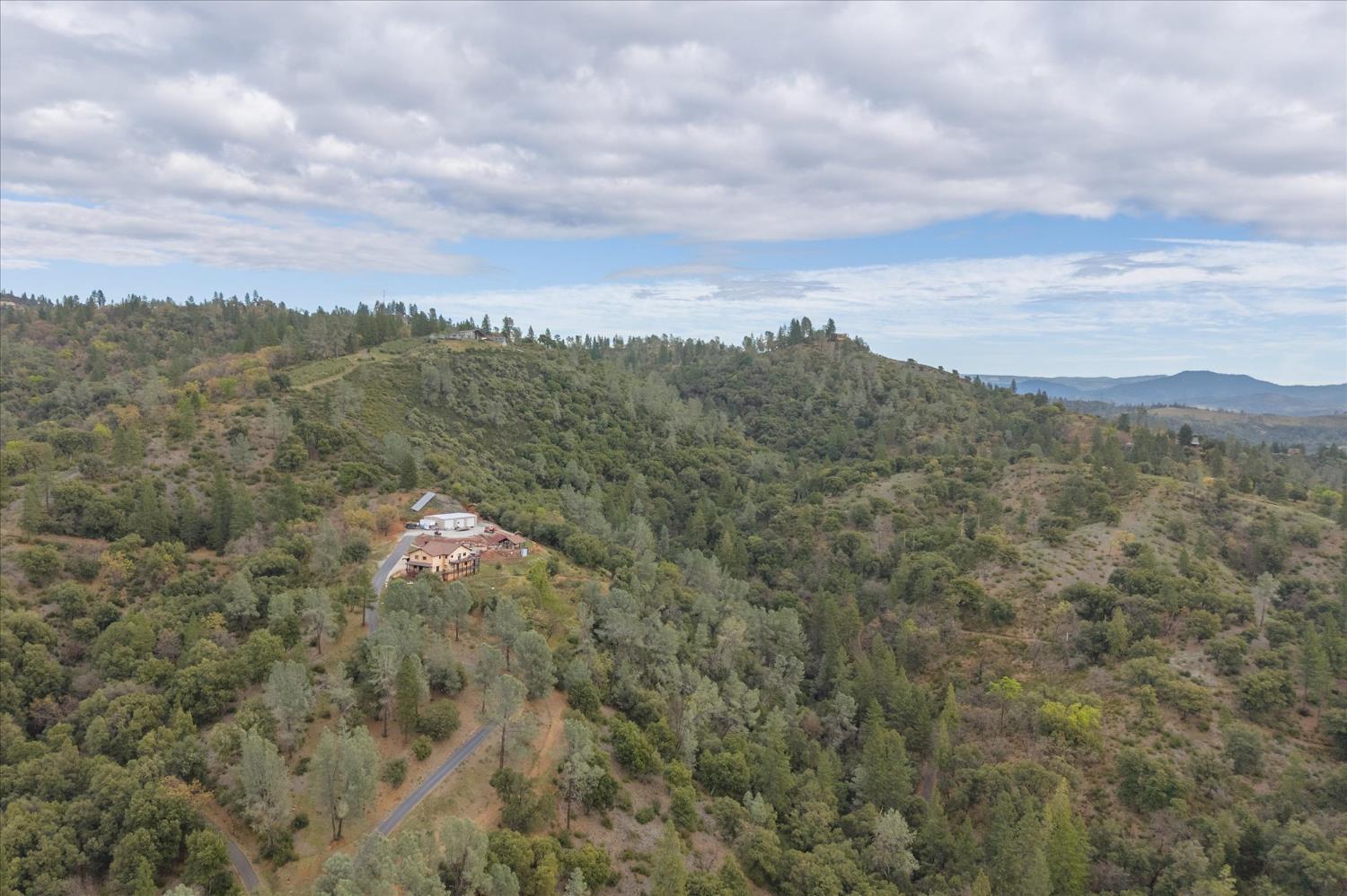 644 Crestview Drive Murphys, CA 95247 - Photo 8 of 56 a view of a dry yard