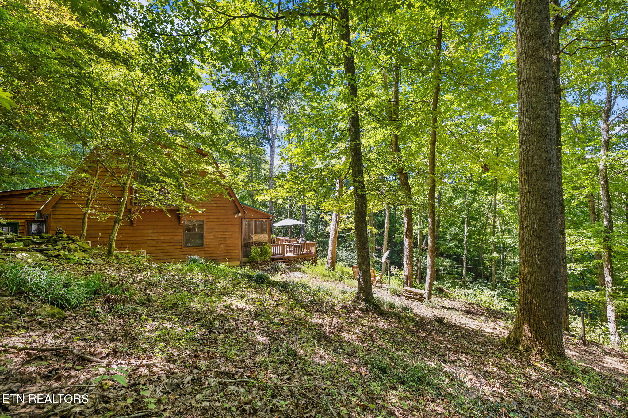 219 Liles Road Lenoir City, TN 37771 - Photo 11 of 41 40-web-or-mls-IMG_0583