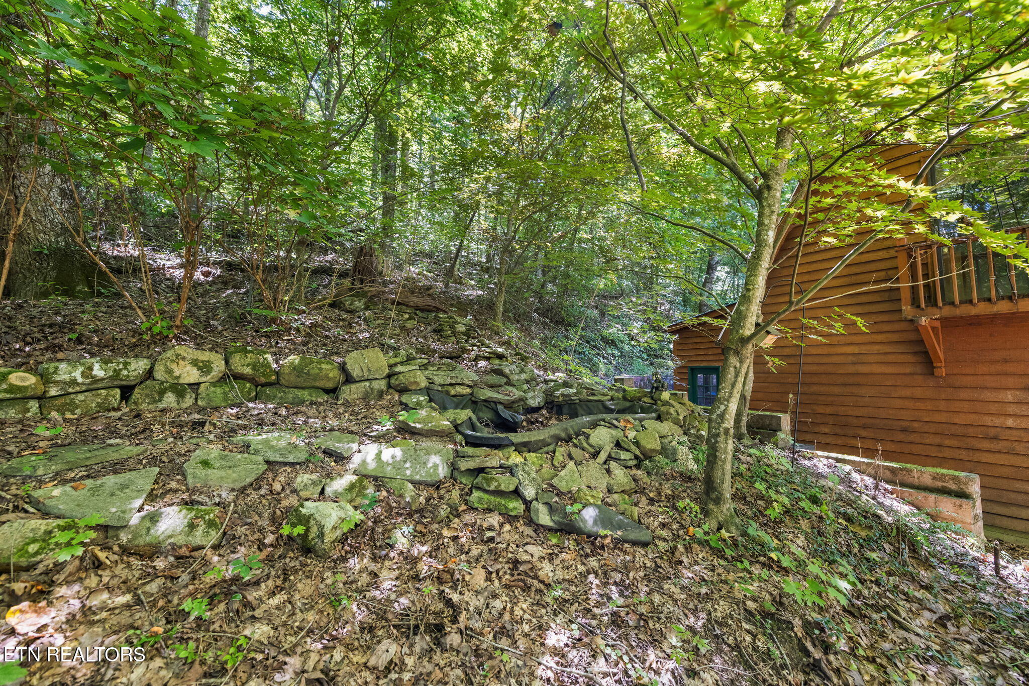 219 Liles Road Lenoir City, TN 37771 - Photo 12 of 41 41-web-or-mls-IMG_0586