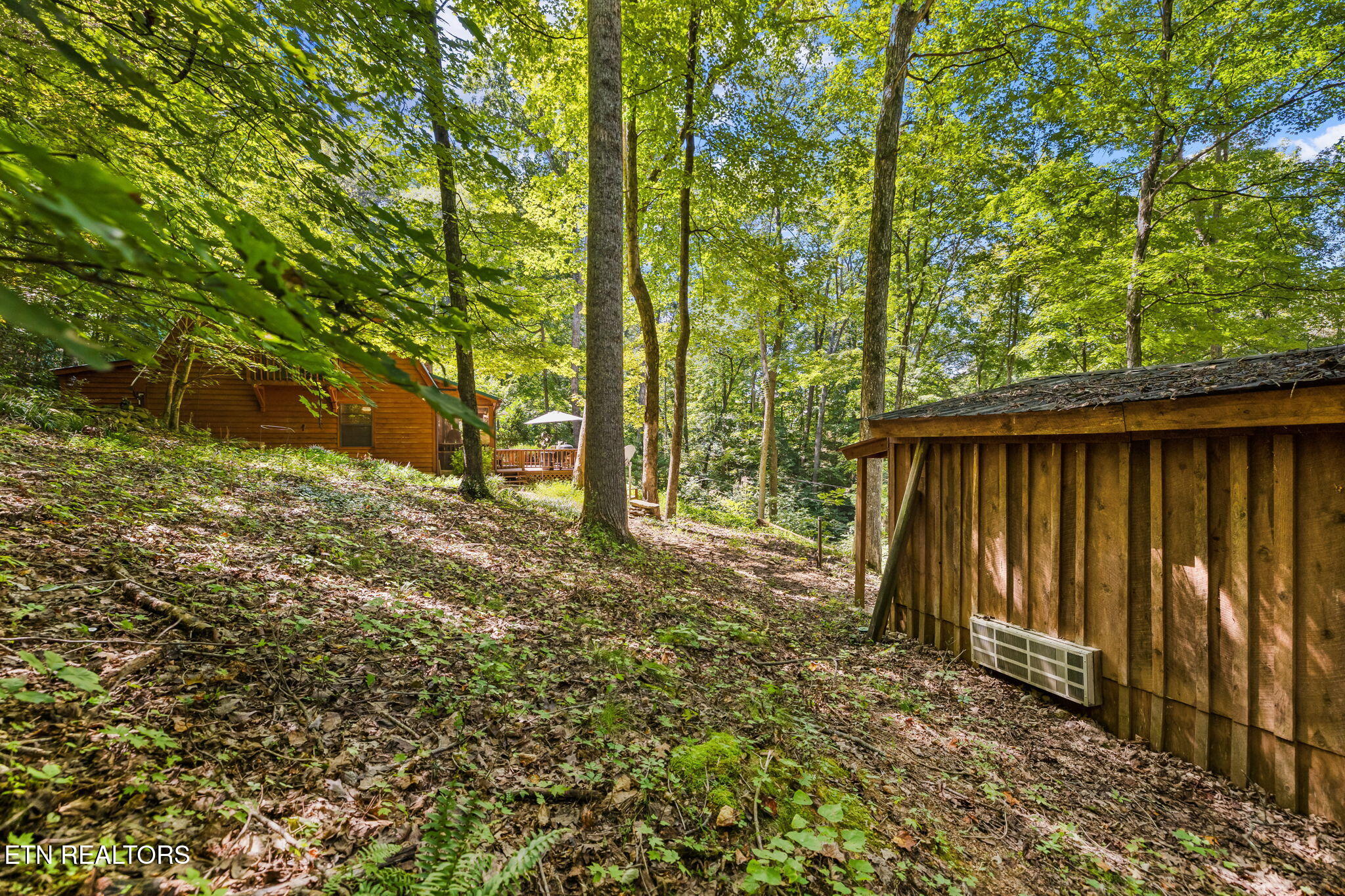 219 Liles Road Lenoir City, TN 37771 - Photo 33 of 41 39-web-or-mls-IMG_0580