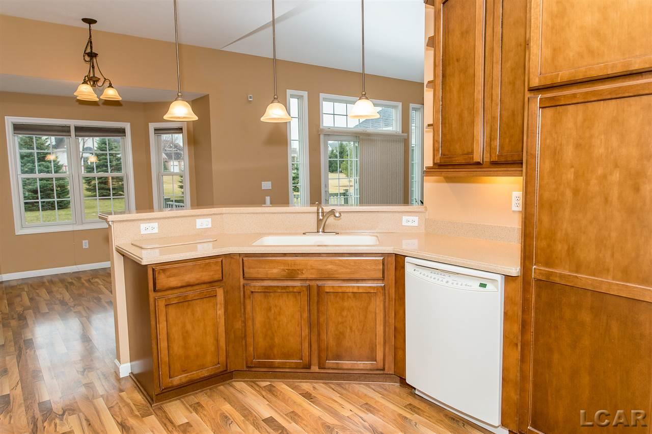 1259 Scott Ridge Drive Adrian, MI 49221 - Photo 26 of 47 31343401-25.JPG