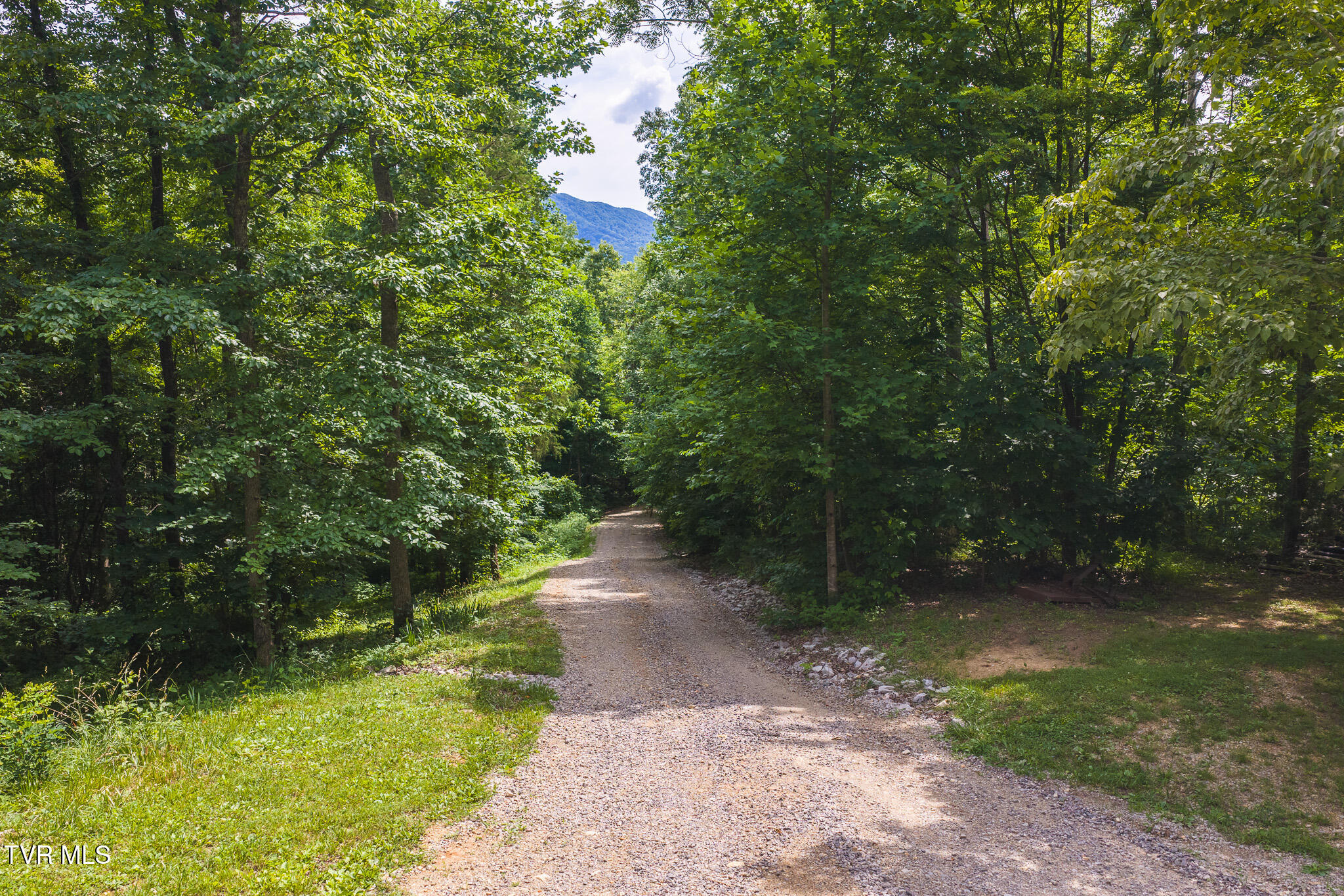 2733 Rackum Road Thorn Hill, TN 37881 - Photo 34 of 43 DJI_20260616155841_0262_D