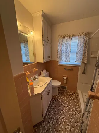 a bathroom with a sink and a toilet