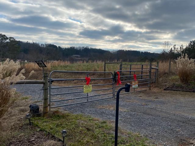 3967 Redman Road Decatur, TN 37322 - Photo 42 of 57 Front entrance