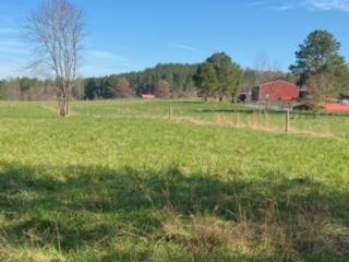 3967 Redman Road Decatur, TN 37322 - Photo 43 of 57 field1