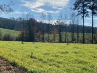 3967 Redman Road Decatur, TN 37322 - Photo 44 of 57 field2