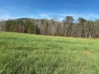 3967 Redman Road Decatur, TN 37322 - Photo 45 of 57 field3