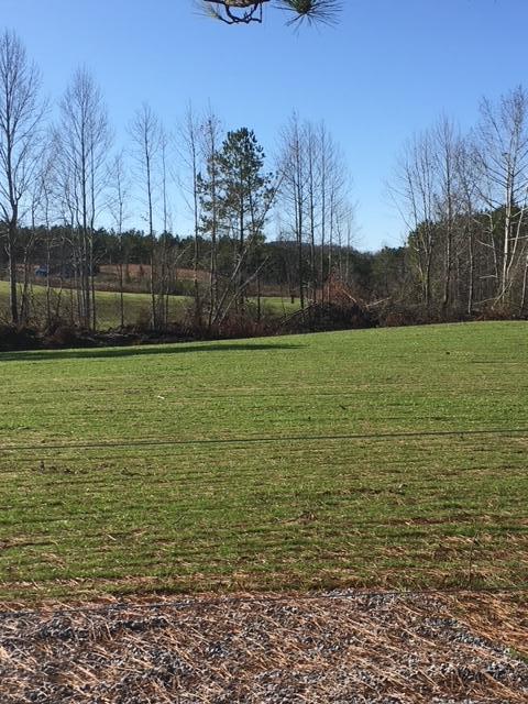 3967 Redman Road Decatur, TN 37322 - Photo 46 of 57 image25