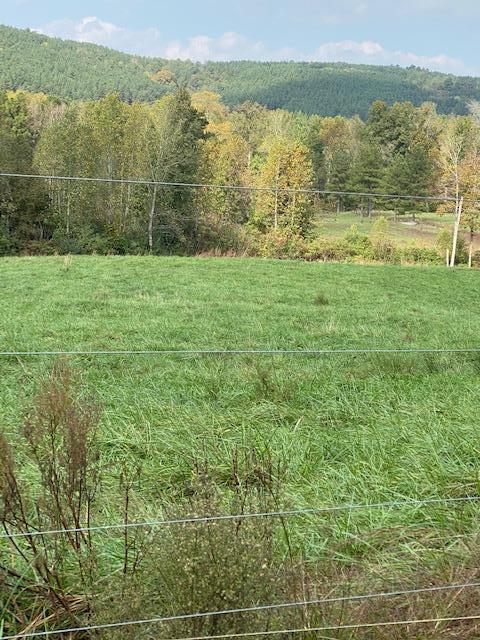 3967 Redman Road Decatur, TN 37322 - Photo 47 of 57 image26