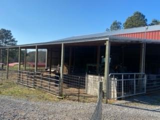 3967 Redman Road Decatur, TN 37322 - Photo 53 of 57 image3