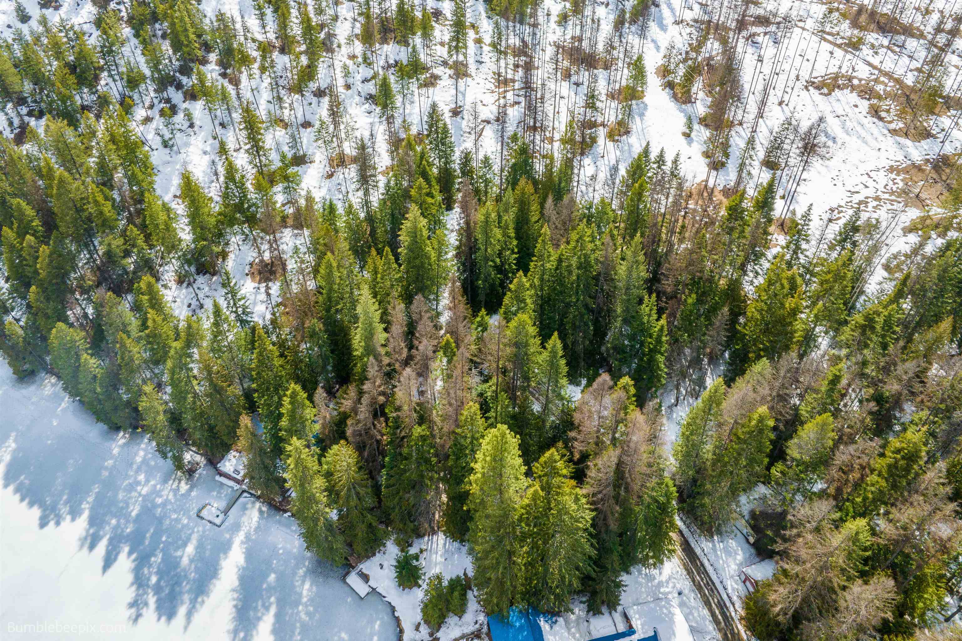 Nka Davis Lake Road Usk, WA 99180 - Photo 26 of 26 Gallery Image 26