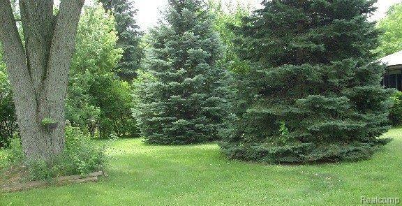 3674 South Livernois Road Rochester, MI 48307 - Photo 5 of 8 DSCI0006 (2)-mfscnv-mfsopt.jpg