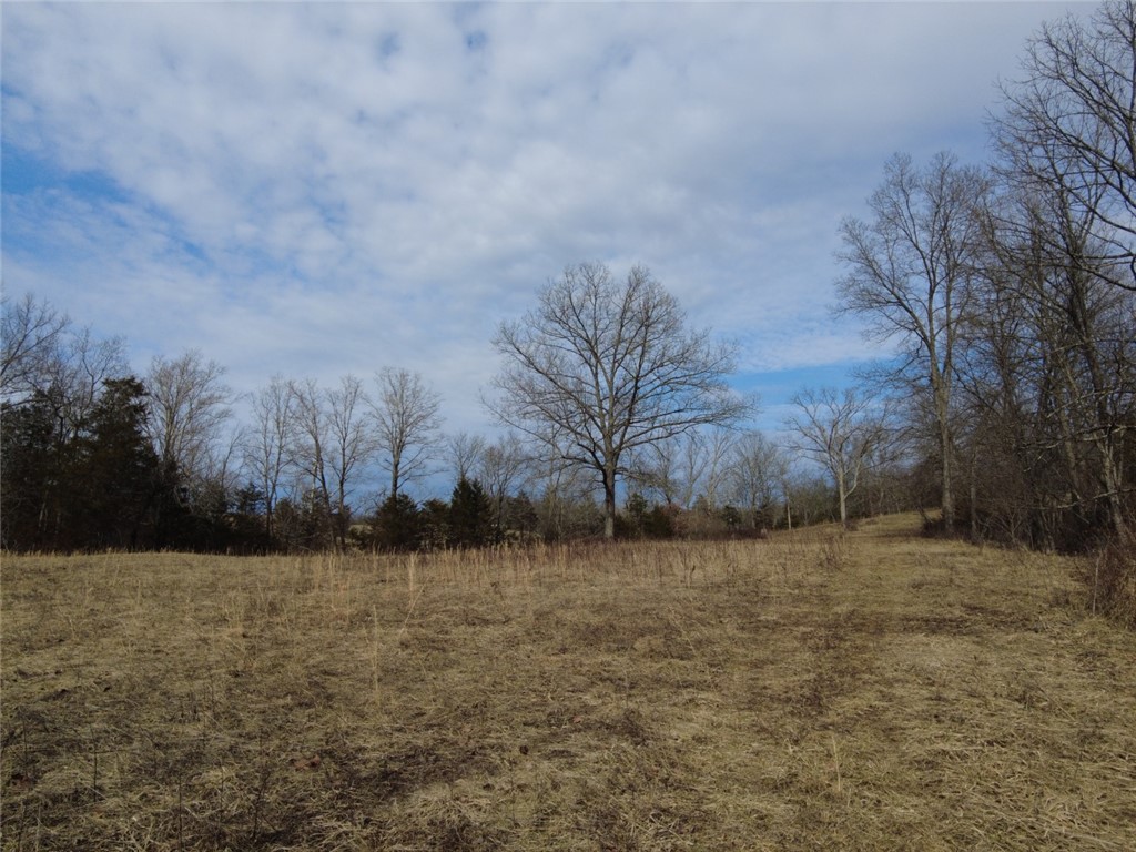 1897 Chestnut Ridge Road West Union, OH 45693 - Photo 14 of 61