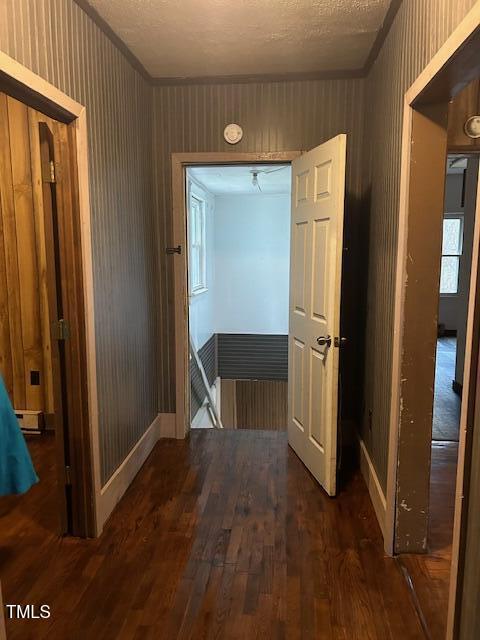 616 Spring Street Eden, NC 27288 - Photo 5 of 17 IMG_1072
