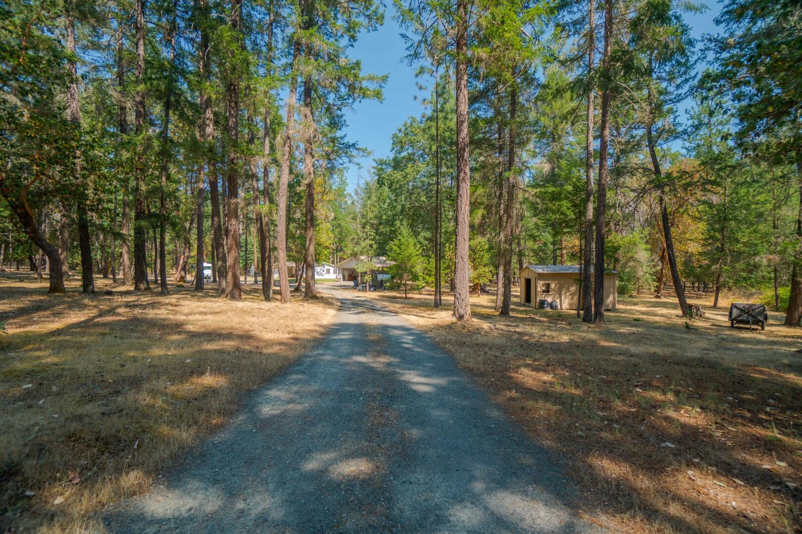1111 Powell Creek Road Williams, OR 97544 - Photo 63 of 85 DSC01000