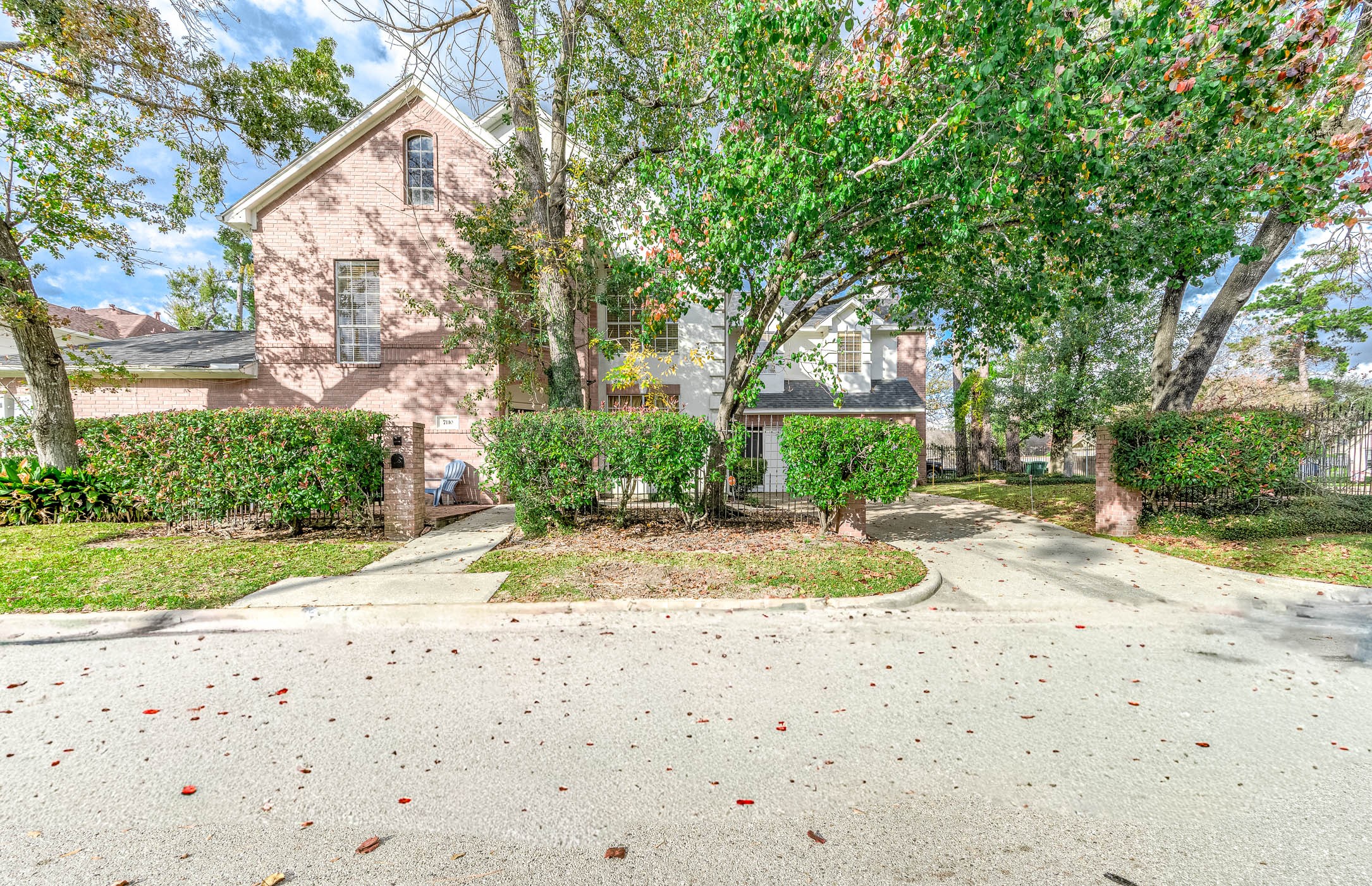 7110 Gary Street Houston, TX 77055 - Photo 46 of 50 a view of a yard with plants and trees