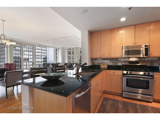 250 East Pearson Street, Unit 1006 Chicago, IL 60611 - Photo 5 of 16