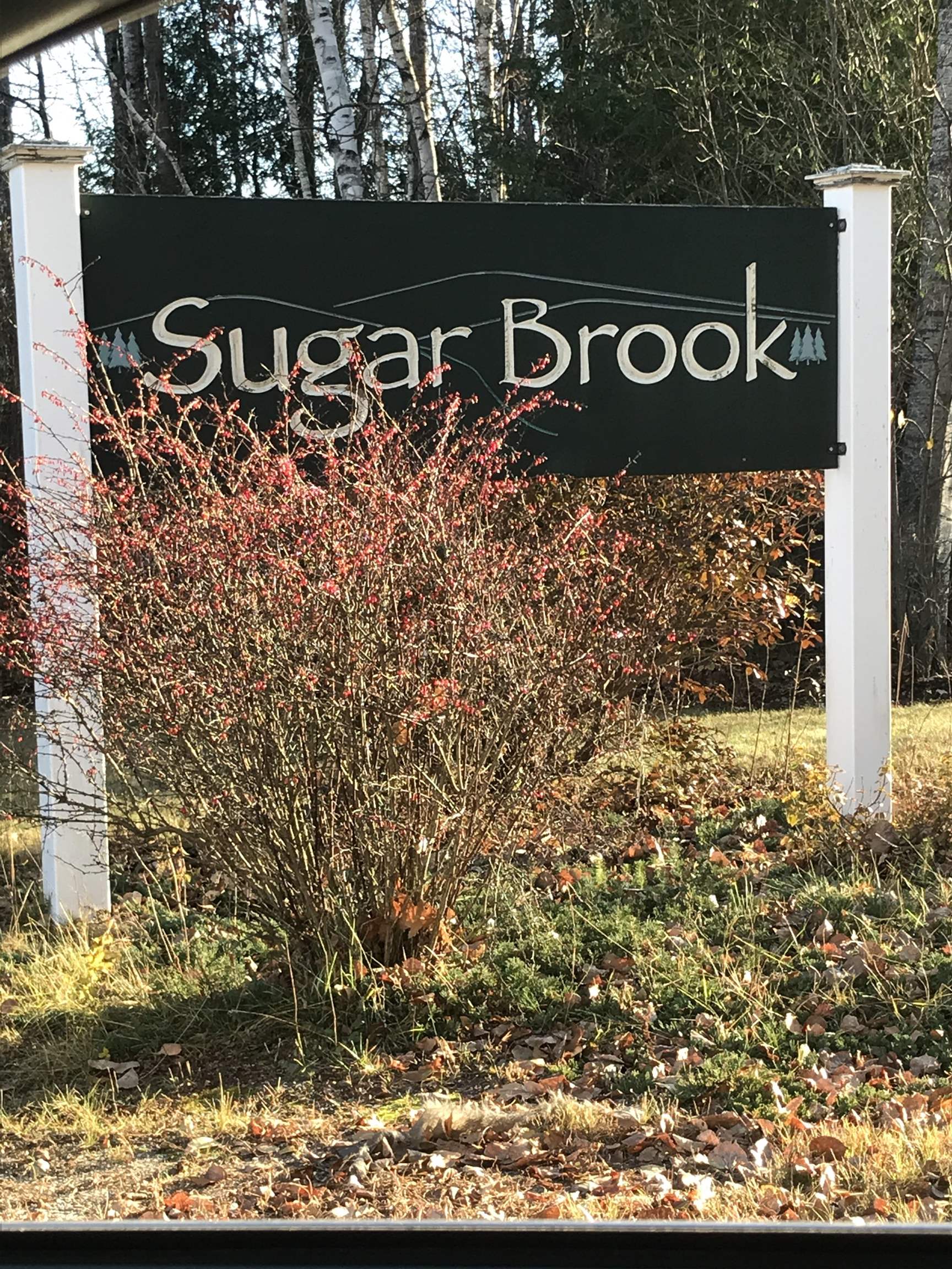 48 Brook View Road, Unit 48 Newport, NH 03773 - Photo 1 of 3