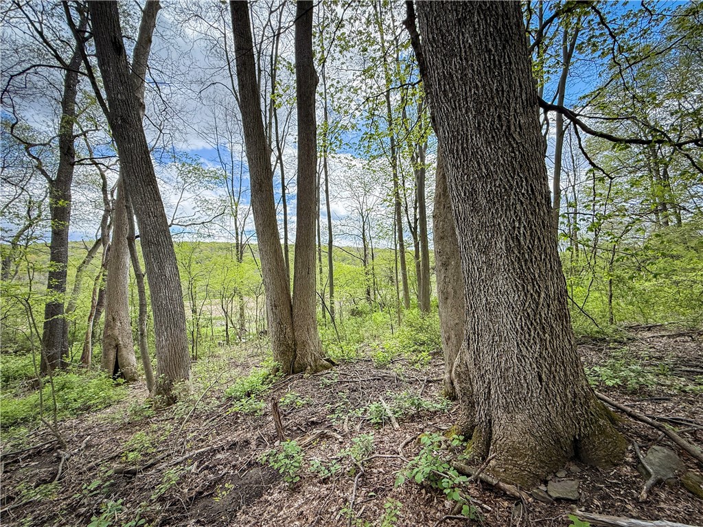 5360 Church Road Moravia, NY 13118 - Photo 42 of 50