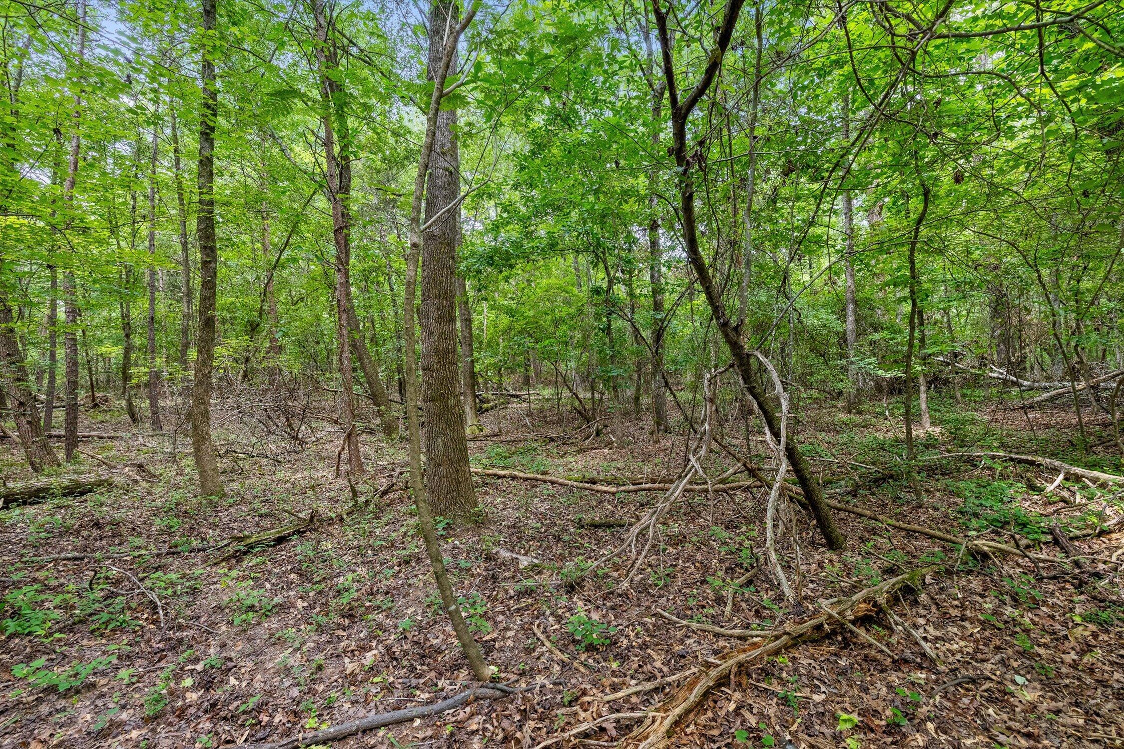 1906 Spradling Road Soddy-Daisy, TN 37379 - Photo 10 of 27 11-1906 Spradling-8