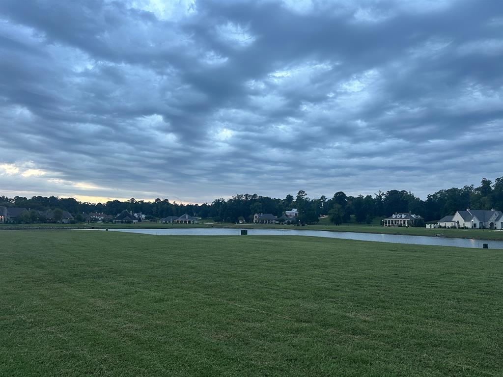 a view of a big yard