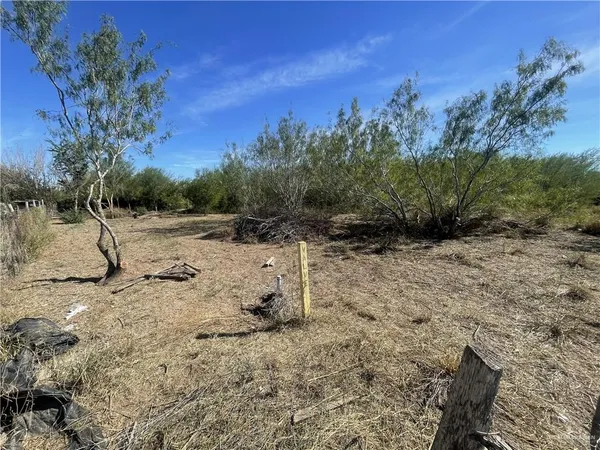 a view of a dry yard with trees