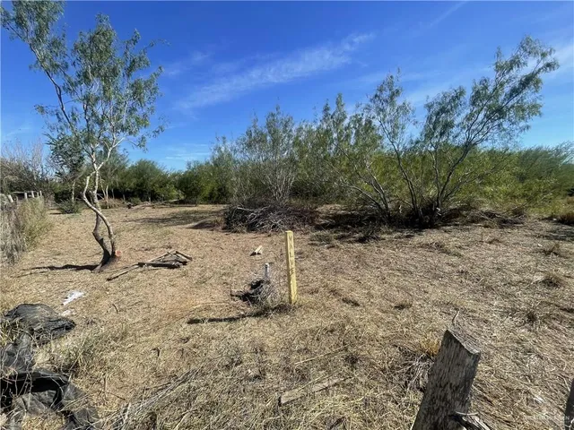 a view of a dry yard with trees