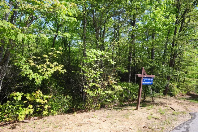 a view of swimming pool with a patio