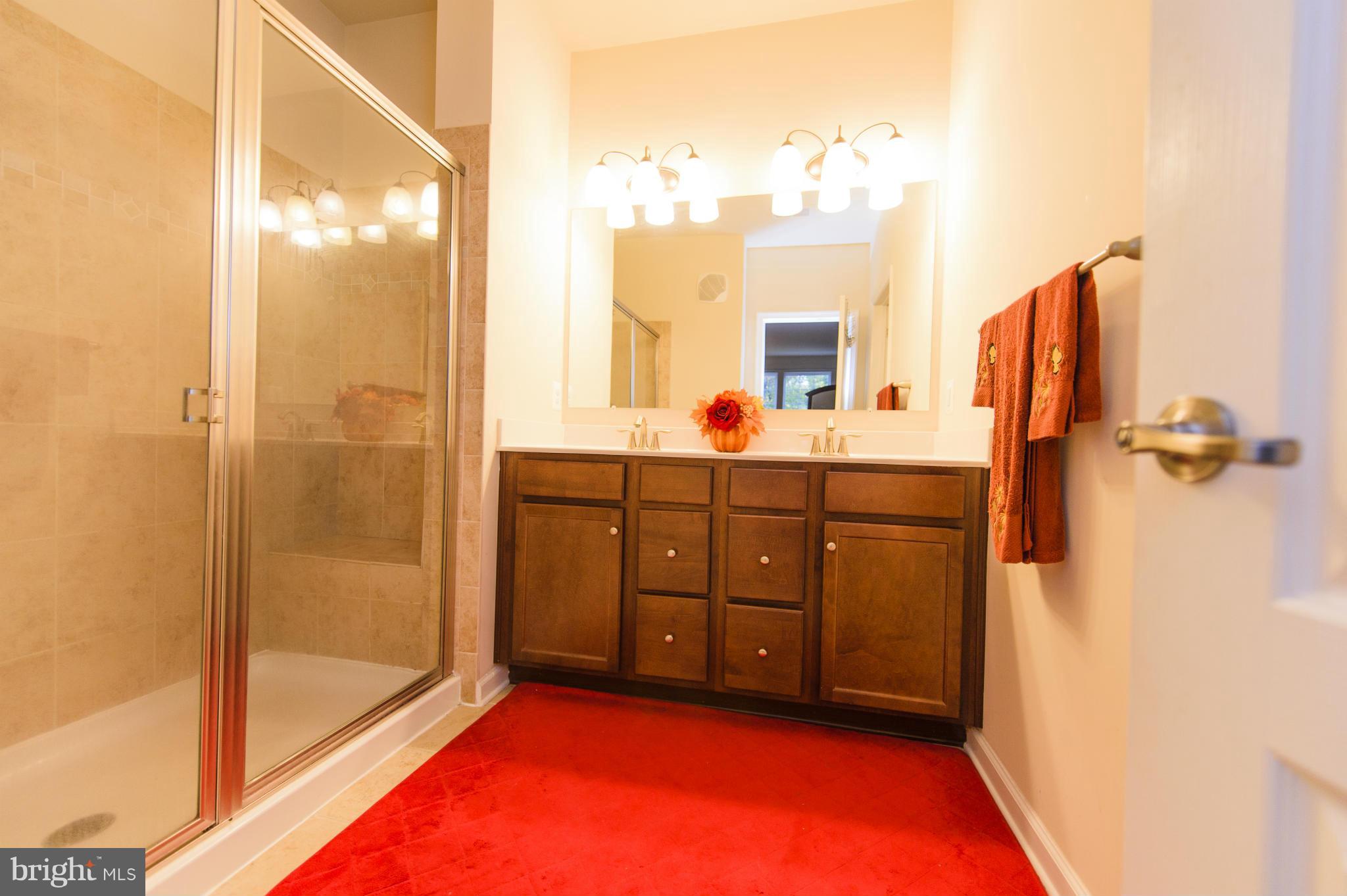 4878 Dane Ridge Circle, Unit 123 Woodbridge, VA 22193 - Photo 16 of 21 a bathroom with a sink mirror and a shower