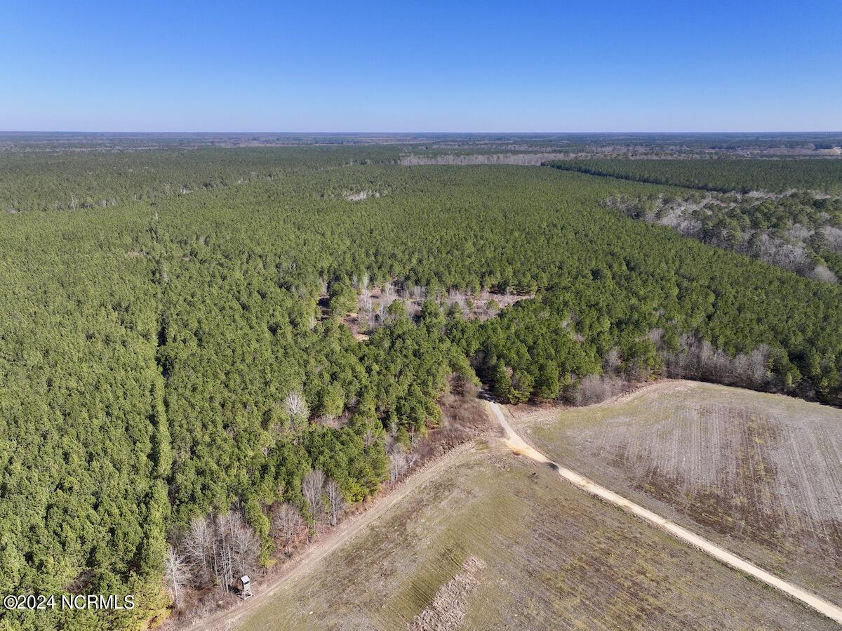 0 Rehoboth Church Road Jackson, NC 27845 - Photo 1 of 46 1