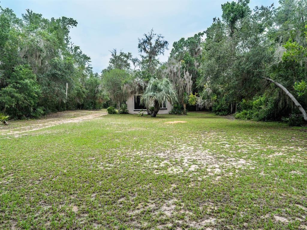 13668 Northeast 226th Avenue Road Fort McCoy, FL 32134 - Photo 23 of 37 a view of a field with a trees in the background